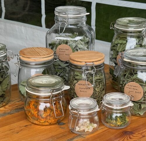 Workshop Maak je eigen thee!