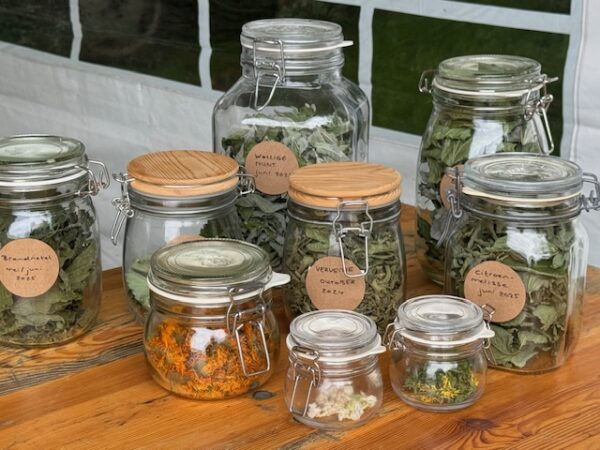 Workshop Maak je eigen thee!