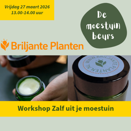 Workshop Moestuinbeurs 27-03-2026-4- Moestuinbeurs-Workshop Zalf uit je moestuin met Briljante Planten