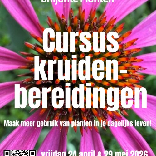 2-daagse Cursus: Maak meer gebruik van planten in je dagelijks leven!