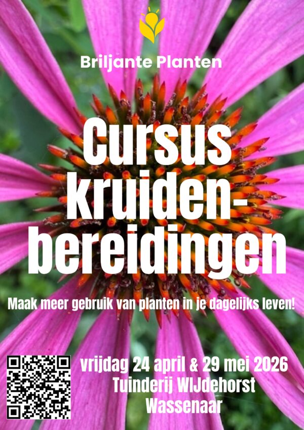 2-daagse Cursus: Maak meer gebruik van planten in je dagelijks leven!